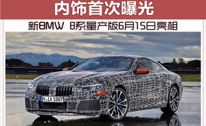 新BMW 8系量产版6月15日亮相 内饰首次曝光
